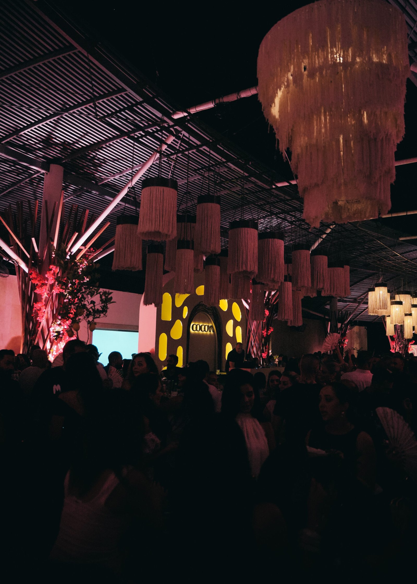 One Last Night at Cocoya